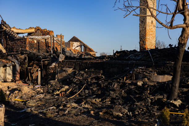 Reliable Content Restoration contractor in Pikesville, MD by Fire Damage Flint